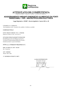 Attestato di Competenza - Casiraghi Paolo